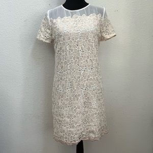 NWT Madison Jules Beirut Daisy Dress